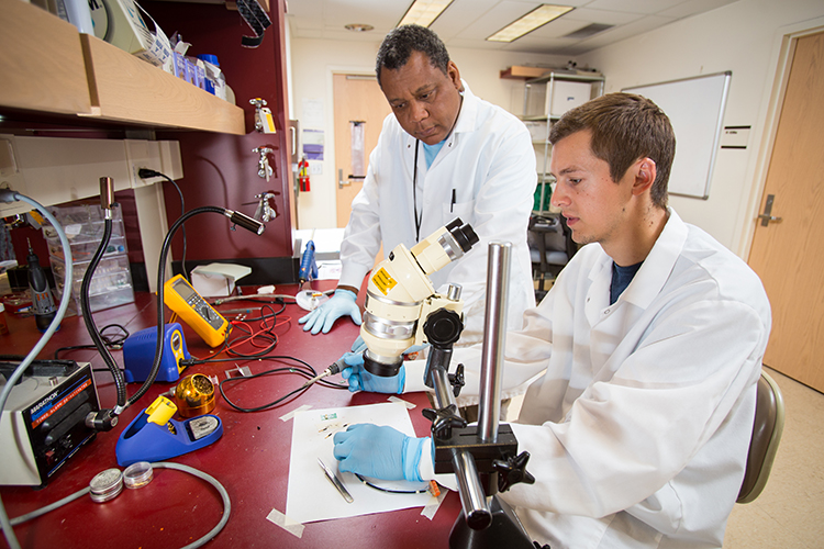 Researchers working in the lab of CSNE member, Steve Perlmutter